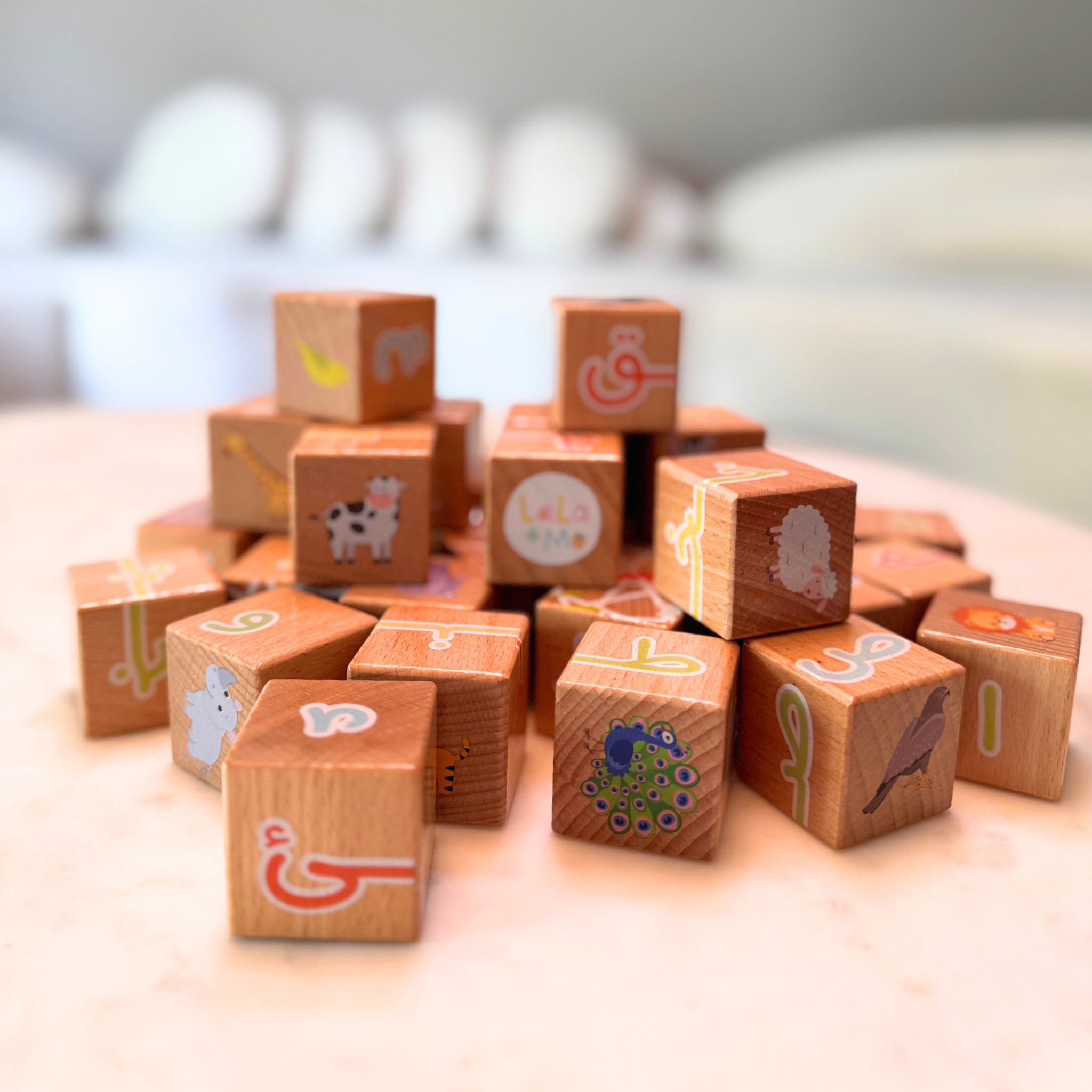 My First ARABIC ALPHABET Blocks with Dry Erase Activity Cards (BACKORDER)