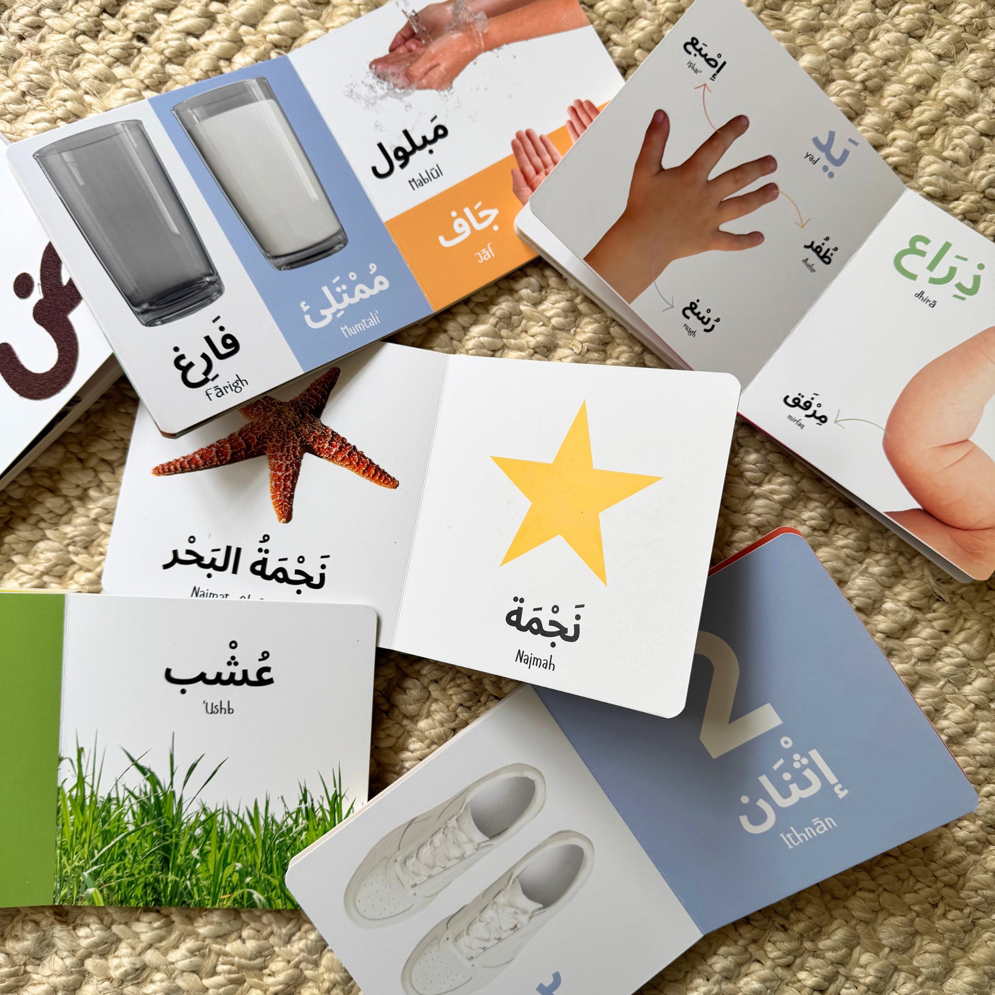 SET OF SIX BOARD BOOKS- My First Arabic Dictionary – Montessori Board Books (PRE-ORDER)