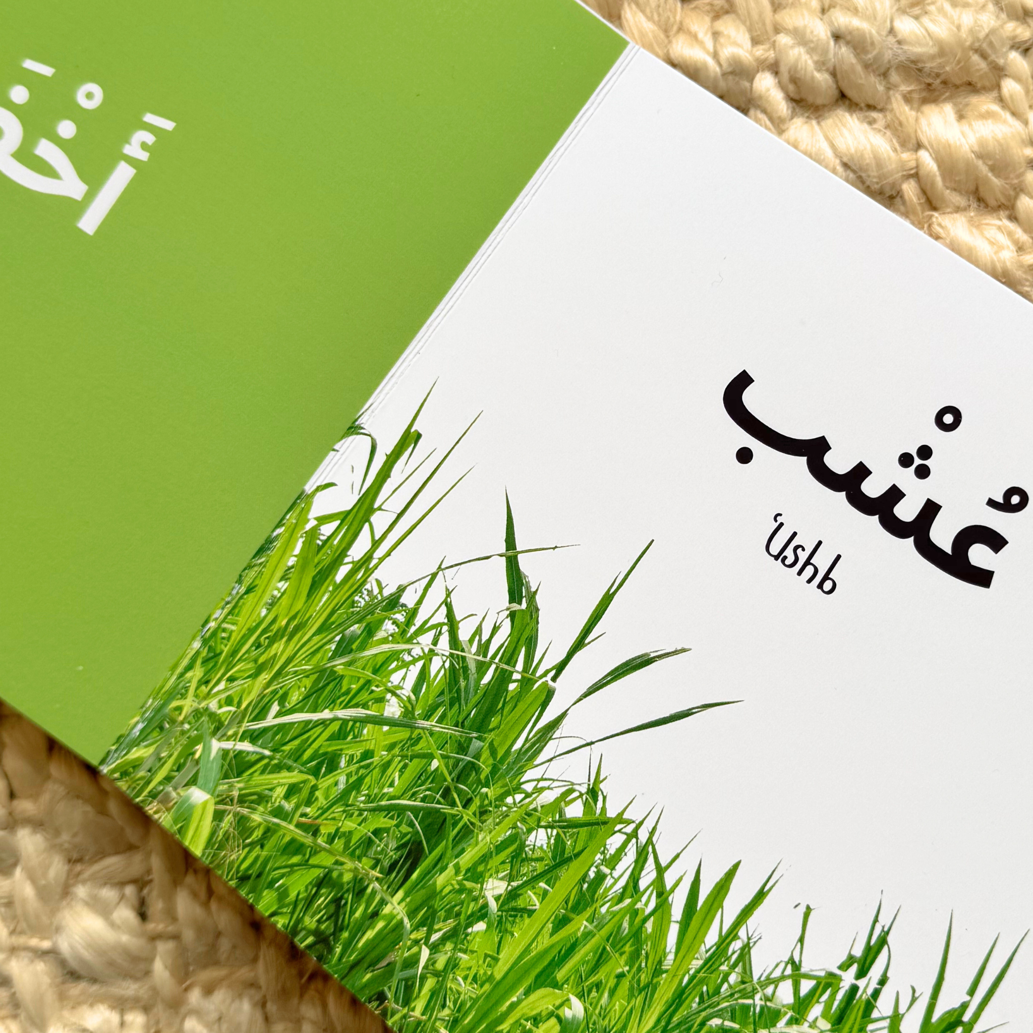 SET OF SIX BOARD BOOKS- My First Arabic Dictionary – Montessori Board Books