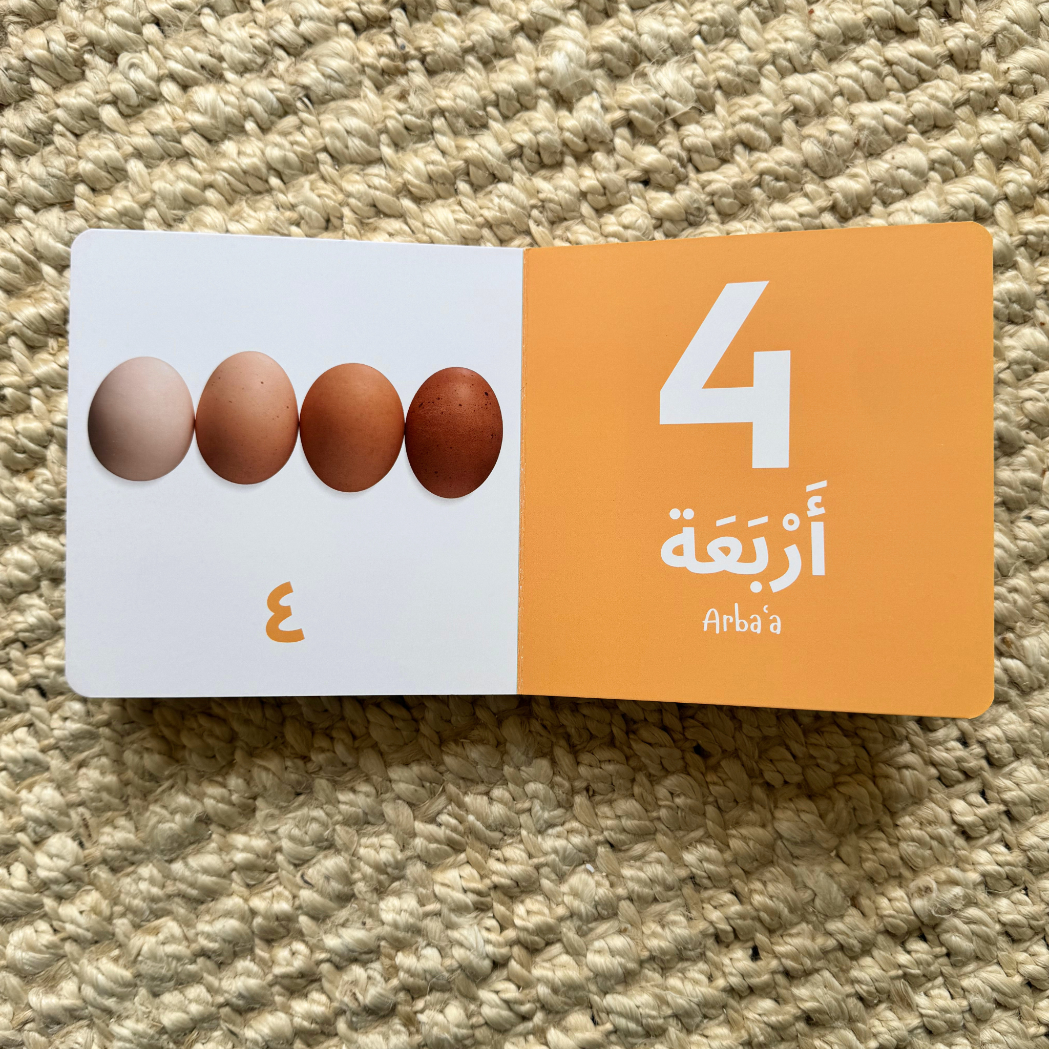 SET OF SIX BOARD BOOKS- My First Arabic Dictionary – Montessori Board Books