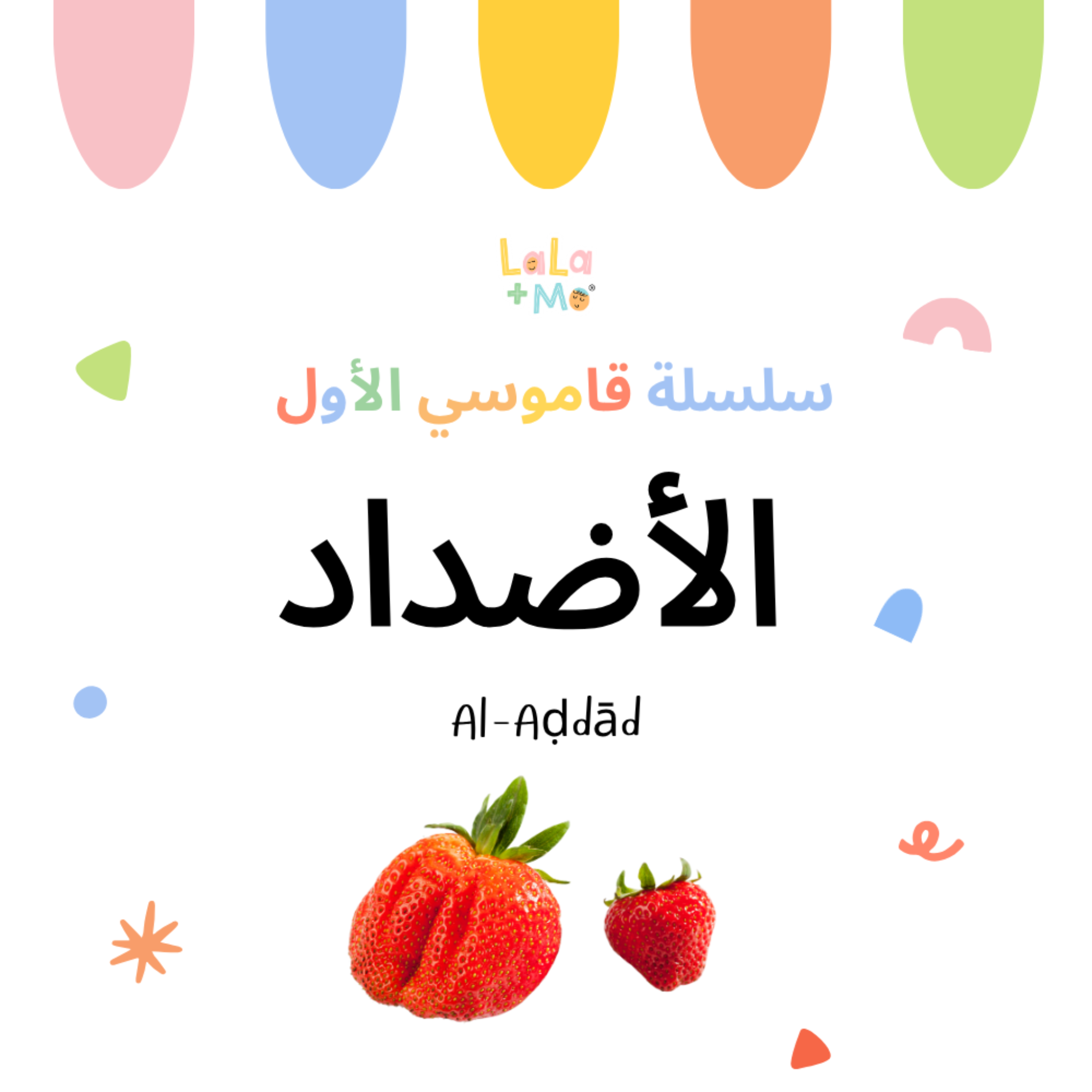 SET OF SIX BOARD BOOKS- My First Arabic Dictionary – Montessori Board Books